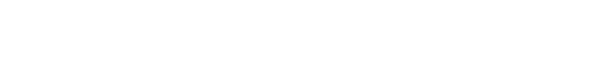 IVY Holdings
